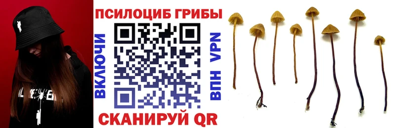 Галлюциногенные грибы GOLDEN TEACHER  Монино 